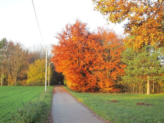 Herbst 2014