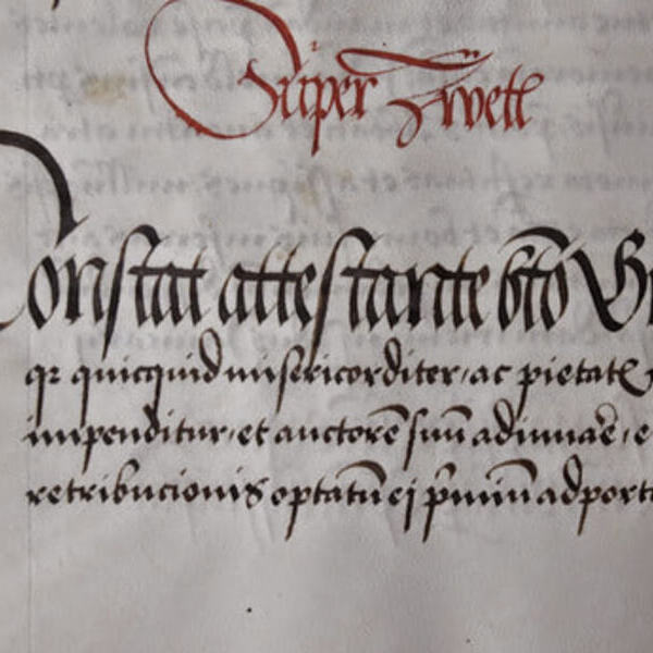 750 Jahre Zwettl an der Rodl / © Christoph Froschauer 750 Jahre Zwettl an der Rodl
