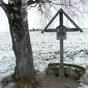 Trixmayrstraße 
