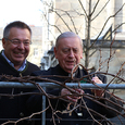 Weinbauer Johann Polczer und Bischof Ludwig Schwarz schneiden die Weinstöcke vor der Diözesanen Immobilienstiftung auf dem Linzer Domplatz. / Diözese Linz/Maria Appenzeller Weinbauer Johann Polczer und Bischof Ludwig Schwarz schneiden die Weinstöcke vor der Diözesanen Immobilienstiftung auf dem Linzer Domplatz.
